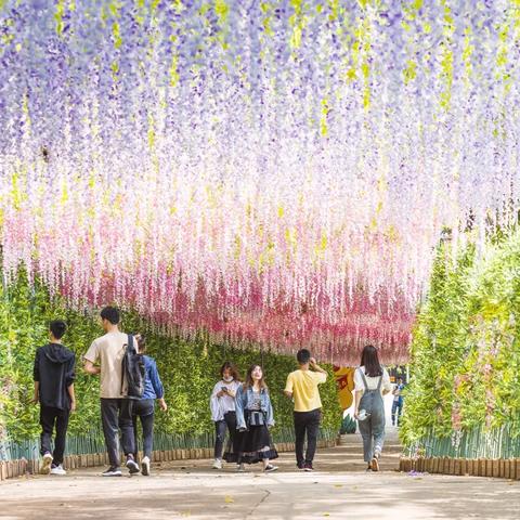 2025.11.24东莞今天空气质量指数怎么样