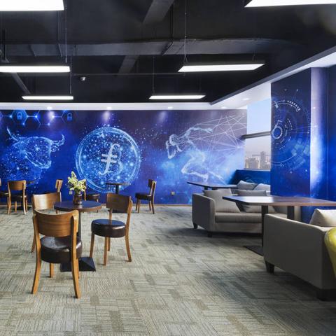 东莞市哪里有兔苗卖的店