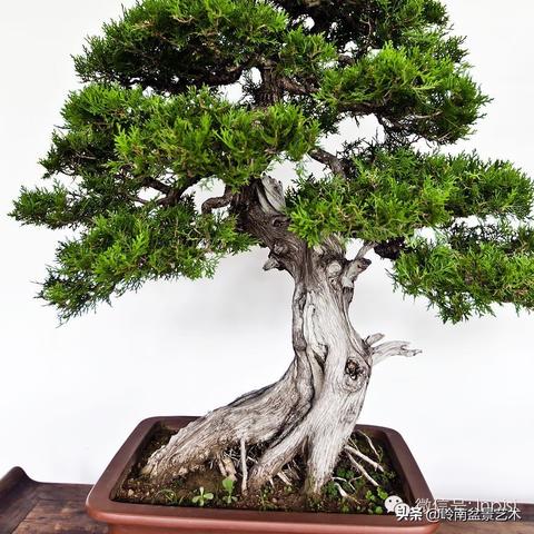 厦门冠宜招聘的相关长尾关键词有哪些