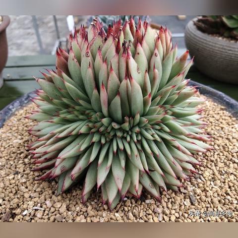 ai人工智能法则是什么