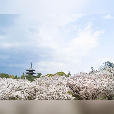 御国资产 长沙相关长尾关键词有哪些