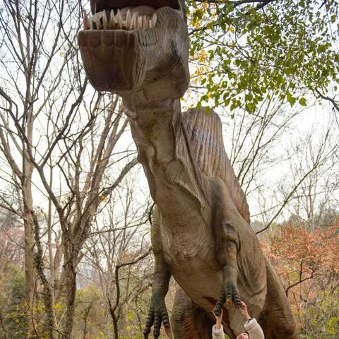 庞然大物是什么意思