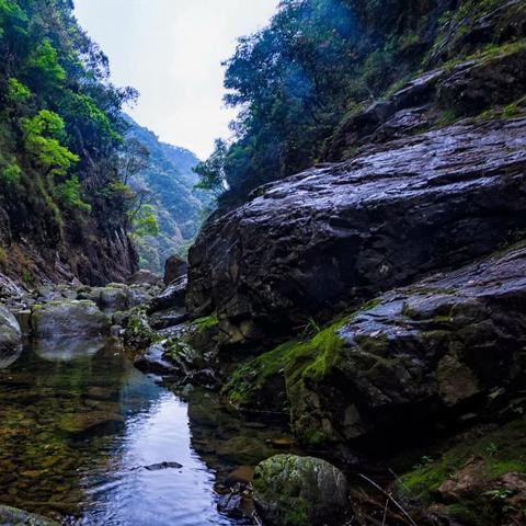 闽东是福建哪个市