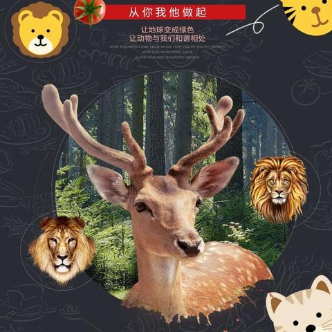 深圳市为什么禁食猫狗