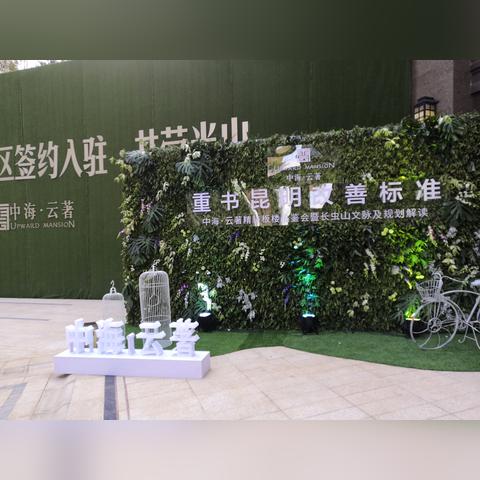 昆明市哪里能学萨克斯的