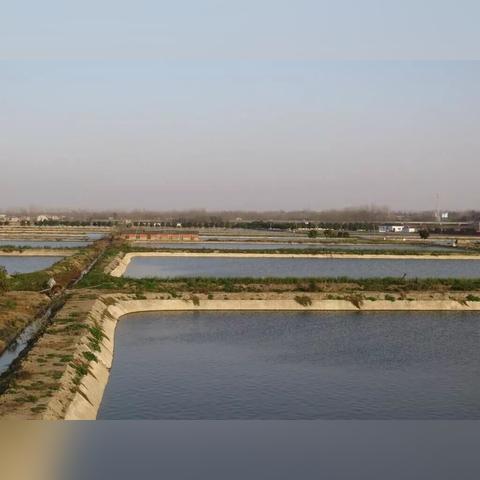 叮咚买菜长沙有吗？