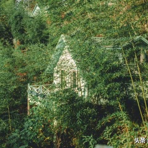 杭州木屋烧烤怎么样？