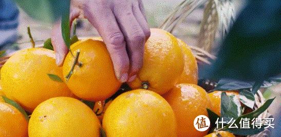日本爱媛县地图高清中文版（农村当季水果最多你们最爱吃什么水果）