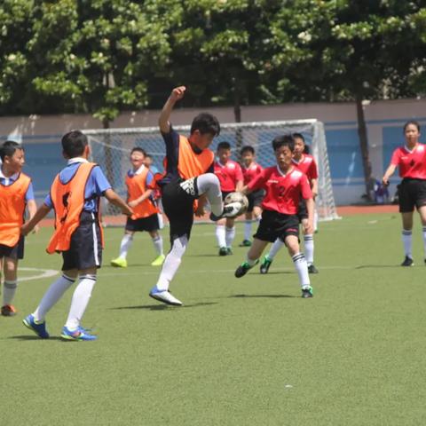 立新小学足球比赛视频的长尾关键词有什么
