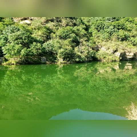 深圳市智慧谷在哪个县城