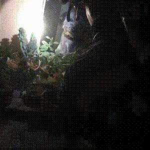 合肥市哪个商场着火