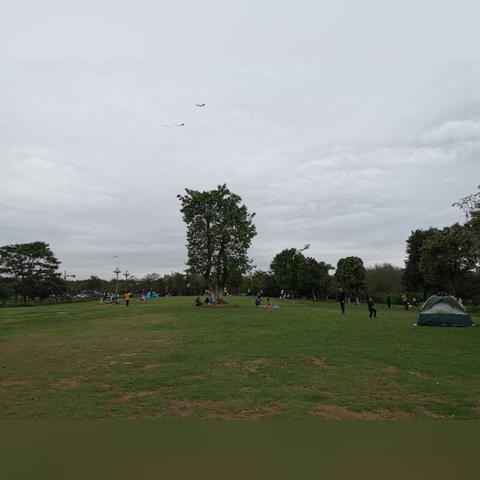 东莞市下午茶哪里好喝
