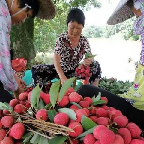 福建首饰品牌的相关长尾关键词有哪些