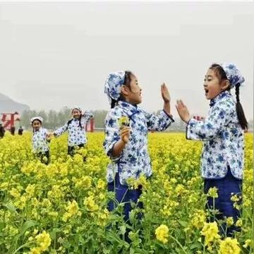 保定市樱花路的长尾关键词有什么