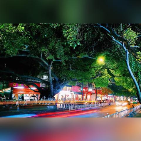 温州市西城路小学怎么样的长尾关键词有哪些