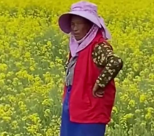 旅行团大妈们进油菜田拍照录视频，旁边的本地大婶却无奈又心酸