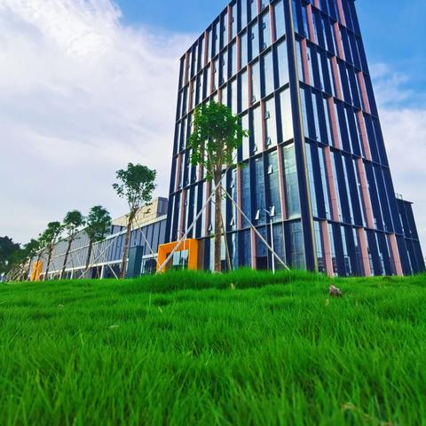 东莞市竞技赛车场在哪里