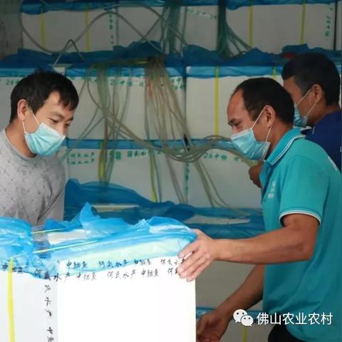 广东佛山市企业复工时间的长尾关键词有什么