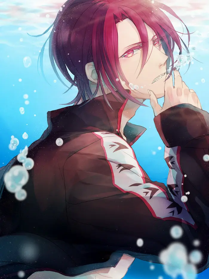 怎么买海贼王ip版权号 海贼王哪个nft平台