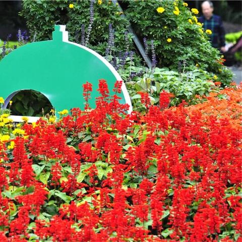 桂林桂花酒38相关长尾关键词有哪些