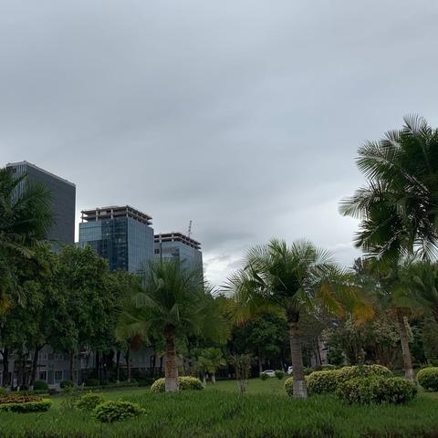 广州40天天气预报的准确率？