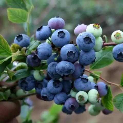 长沙拆迁补偿相关长尾关键词有哪些