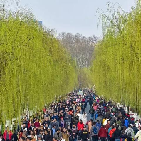 天津2017年冬天气温的长尾关键词有哪些