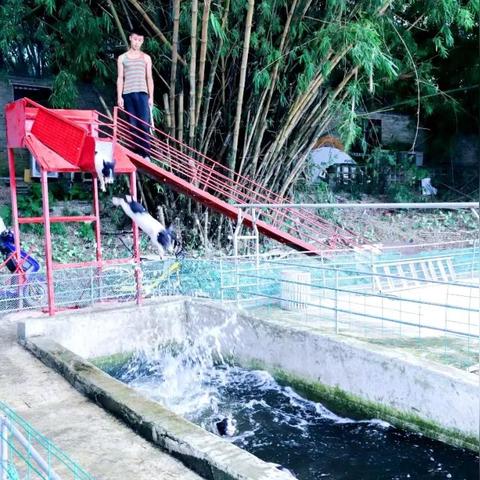 南宁市跳水桥在哪个区