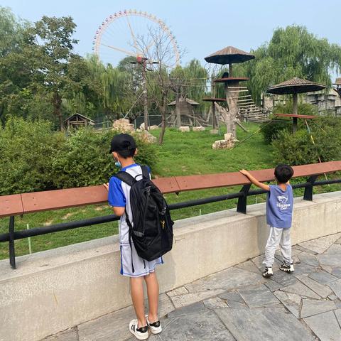 石家庄市动物园隶属的长尾关键词有什么