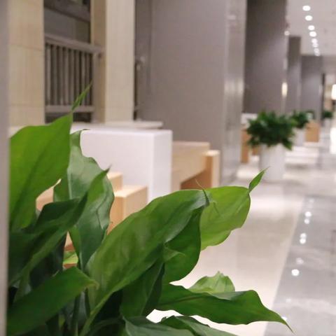 杭州市中医院全称是什么