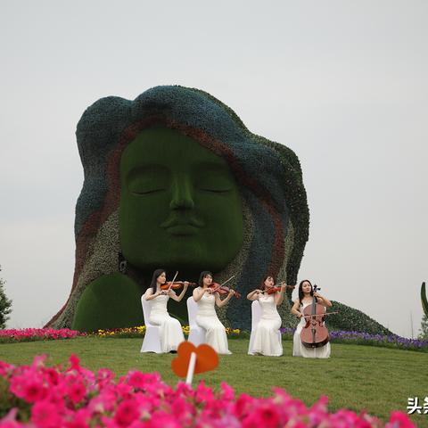 合肥园艺公司招聘相关长尾关键词有哪些