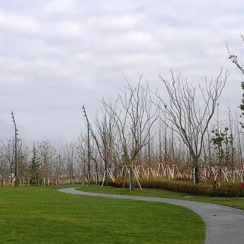 厦门市青年公园在哪里呀