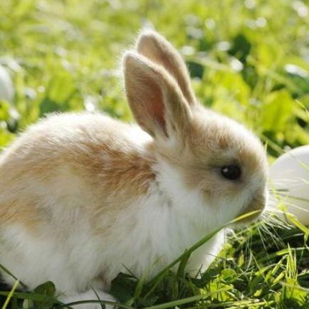 天德贵人是不是祖上积德(天德贵人啥意思)