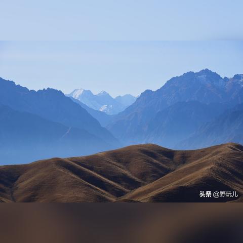 哈尔滨市38号在哪里