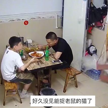 外来猫跨境电商的相关长尾关键词是那些