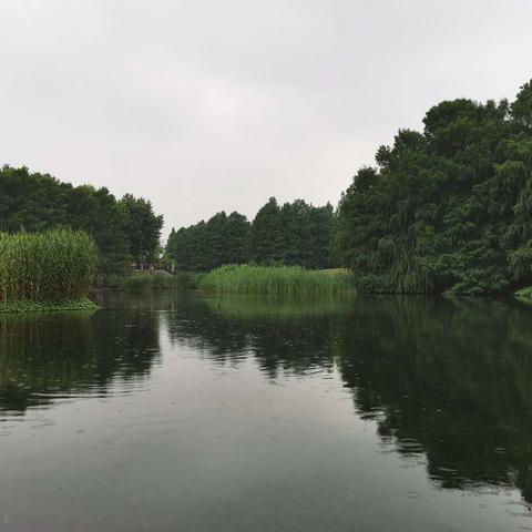 上海旅游湿地公园有哪些