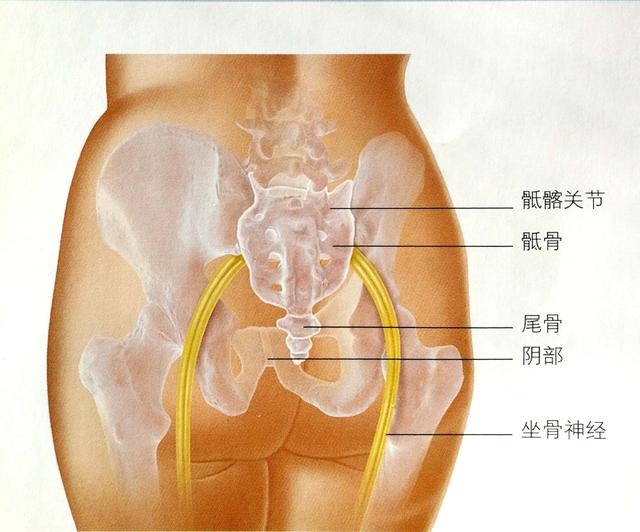 孕晚期骨盆痛怎么缓解