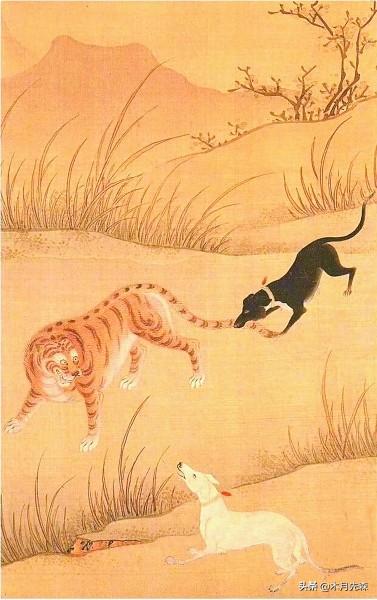 狗男宝宝姓张怎么起名(日本会滑入马里亚纳海沟吗)