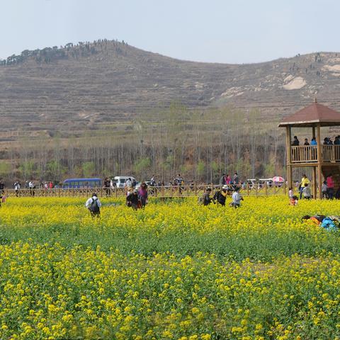 济南五月14号天气相关长尾关键词有哪些