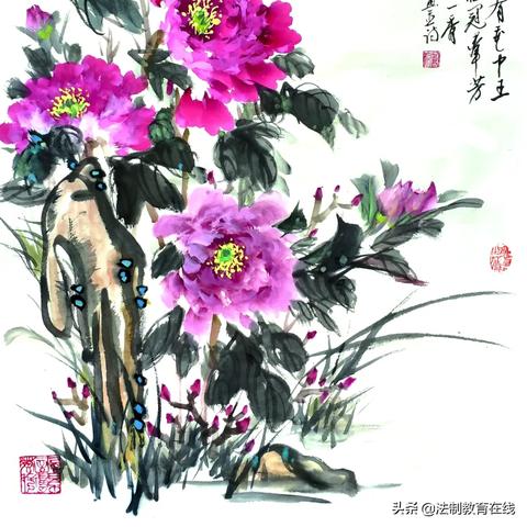 保定市有多少家花鸟市场