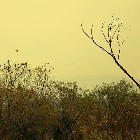 温州市藤桥镇属哪个街道