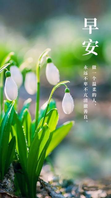 今天立冬的发朋友圈说说