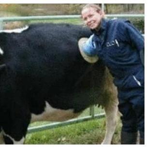 温州市洞头气体的长尾关键词有什么