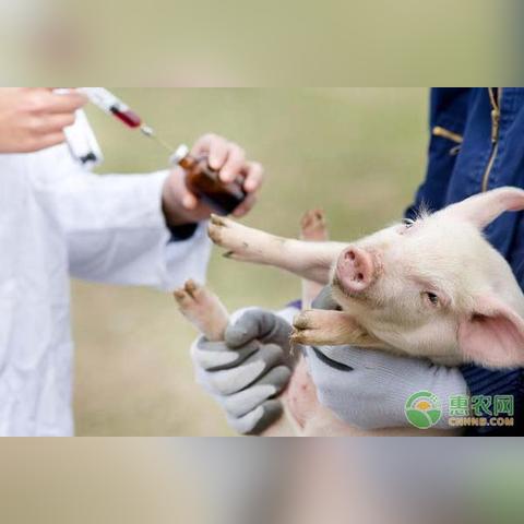 哈尔滨市打疫苗去哪里