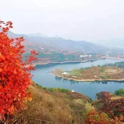 济南市有多少路公交