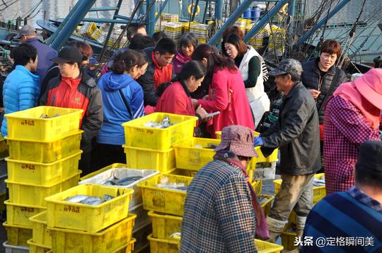 周末青岛渔港人气旺大虾70一斤黄花鱼15两斤姑娘饿肚子赶码头