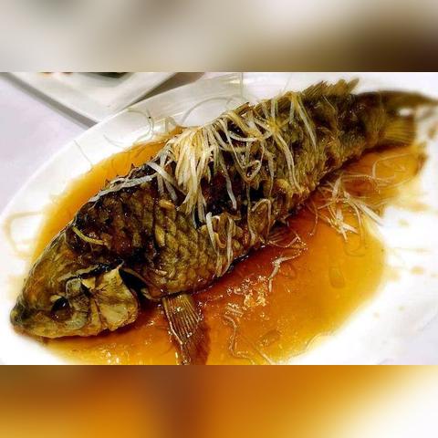 天津属地哪个省