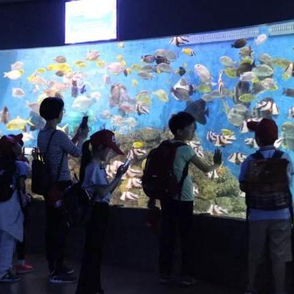 找游戏（探索游戏世界的奥秘，如何找到心仪的游戏）