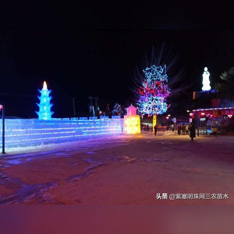 天津滑雪哪个好玩