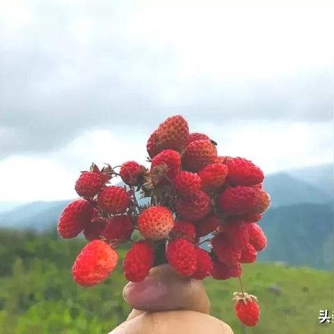 成都市泡泡浴哪里有卖的
